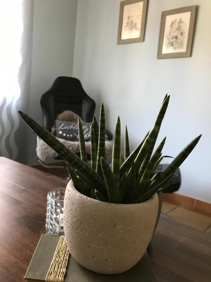 Ferienwohnung Frevel Pommern Екстериор снимка